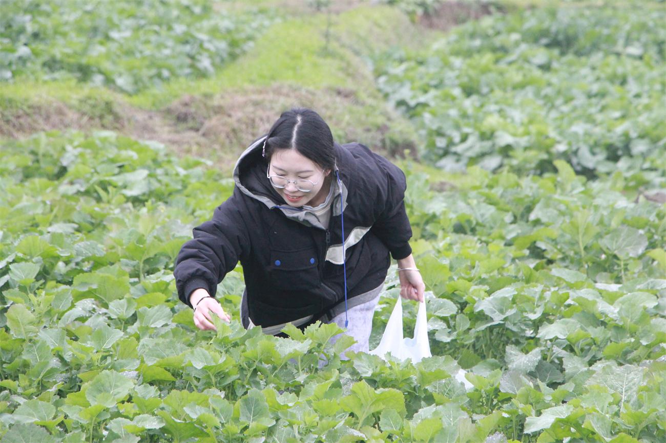 贵定县医疗保障局领导团队工作概述及最新领导介绍