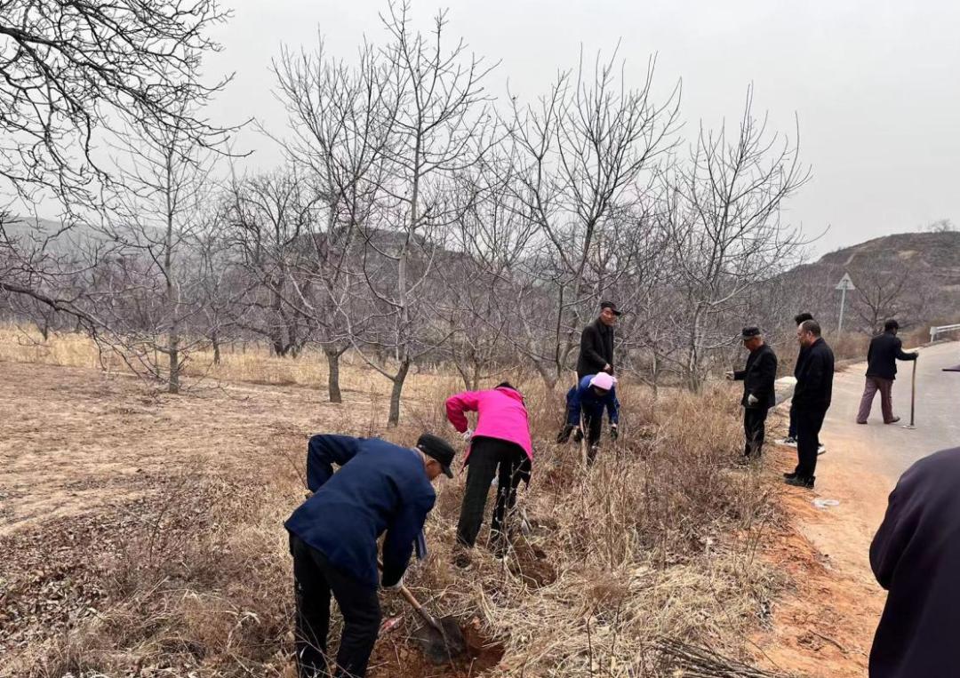 汾阳市财政局最新招聘启事概览