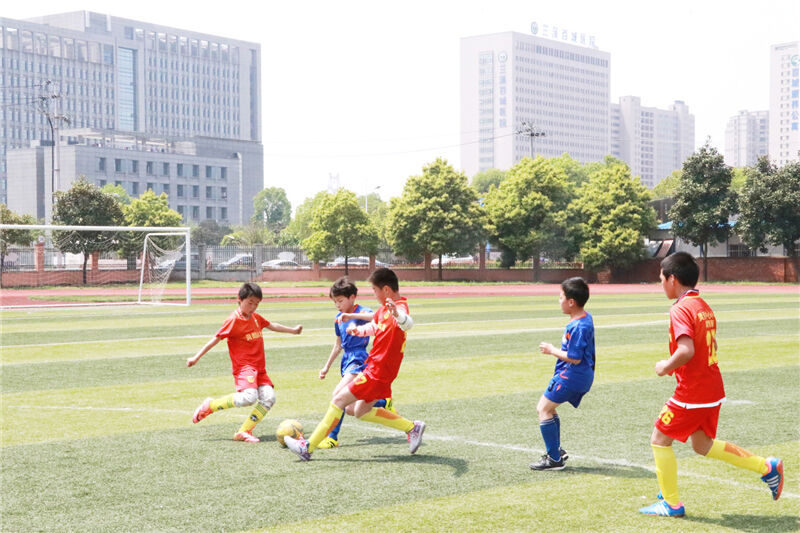 兰溪市小学最新动态报道