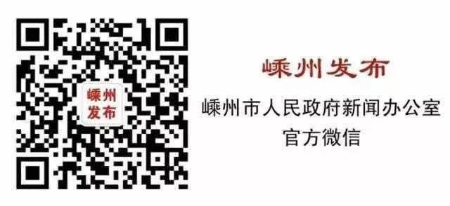 嵊州市数据和政务服务局招聘公告详解