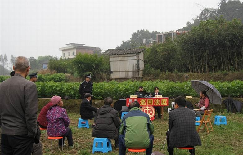 宜州市教育局人事任命重塑教育领导层，推动教育现代化进程