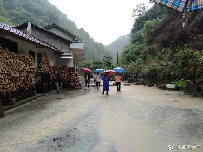 南洞乡天气预报更新通知