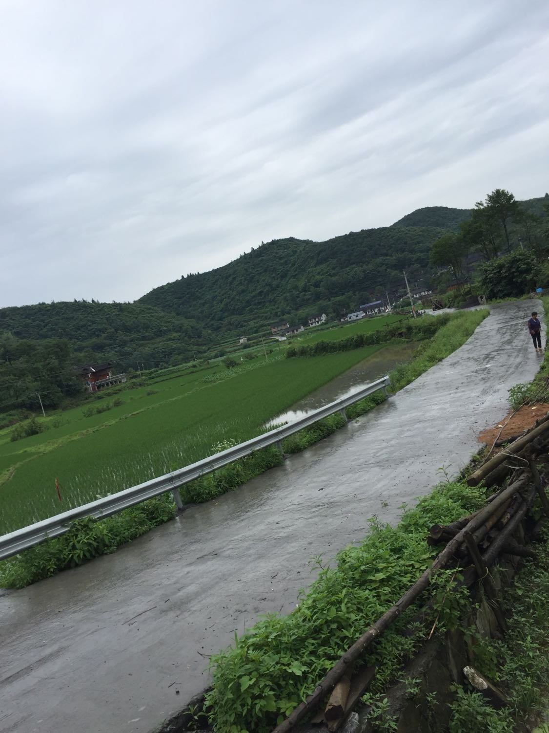 杨峡村民委员会天气预报更新通知