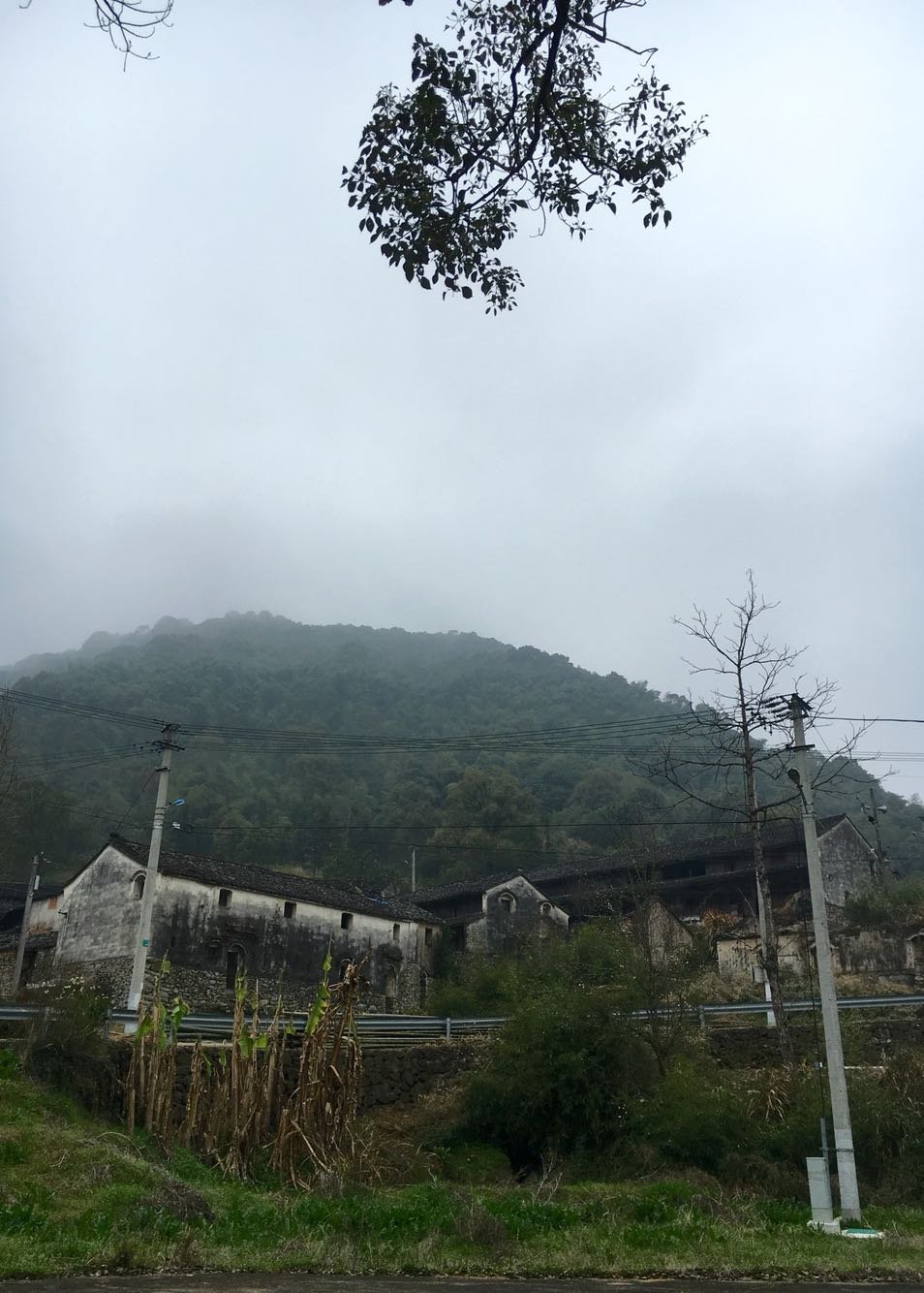 涧溪村天气预报更新通知