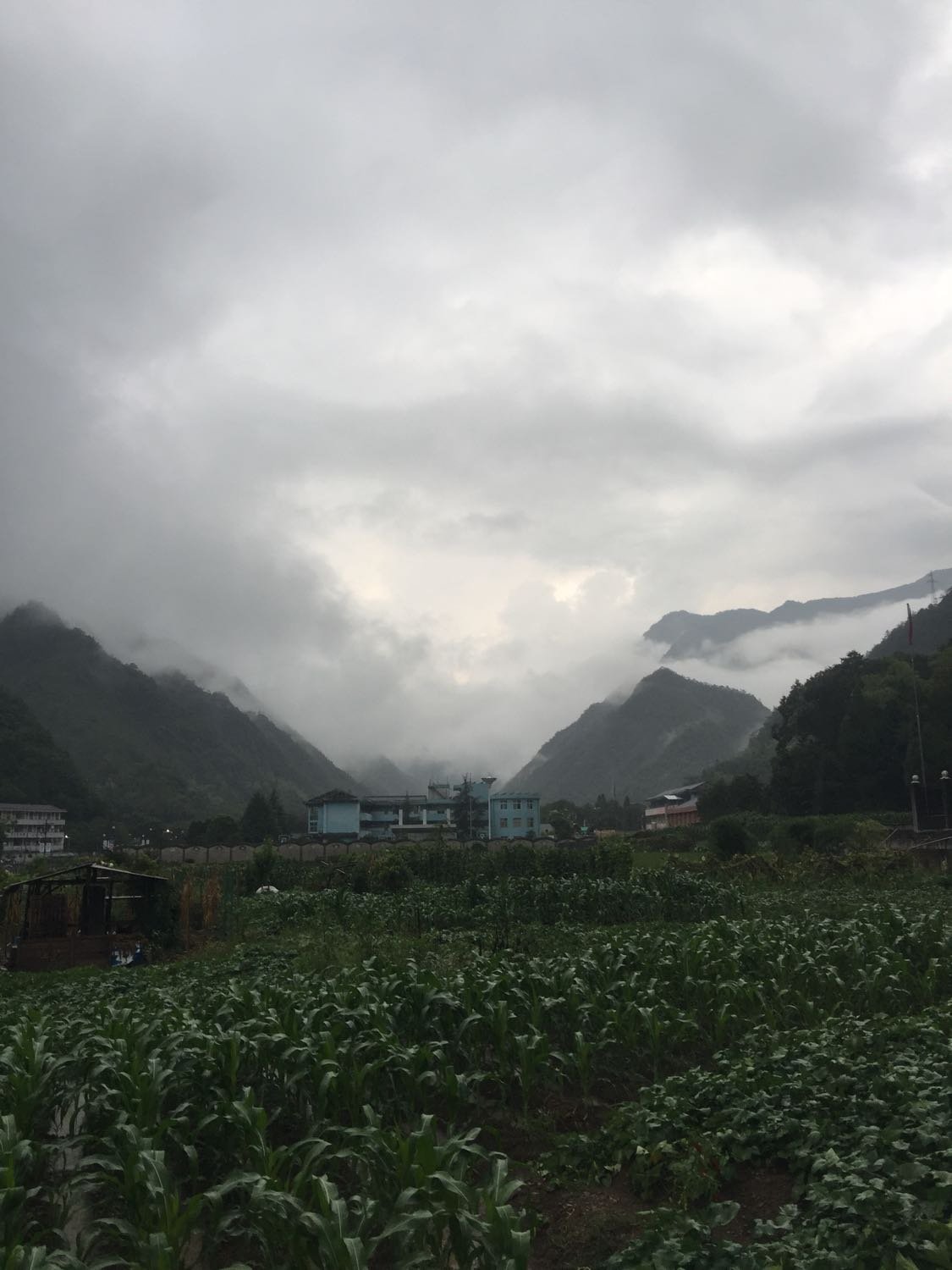 花所乡天气预报更新通知