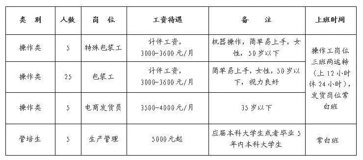 临淄区初中最新招聘公告概览