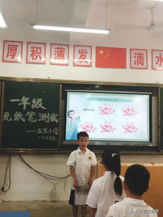 吉州区小学最新招聘信息概览