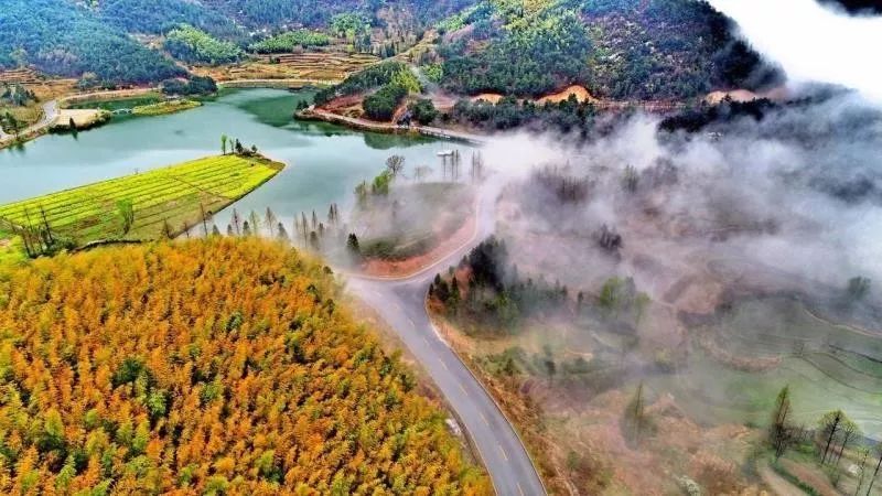 寺洼山村民委员会最新天气预报