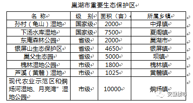 巢湖市环保局最新发展规划揭秘，绿色生态城市的宏伟蓝图展望