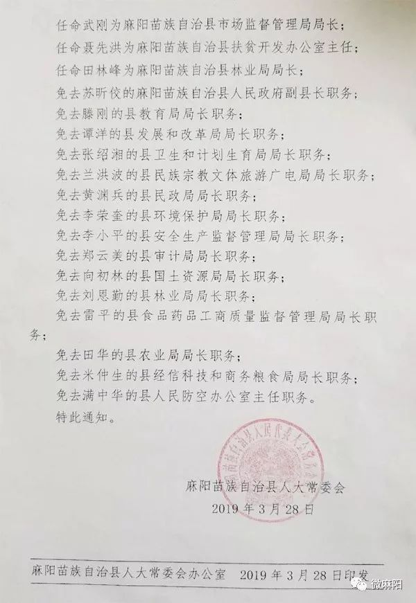 阳光林场人事大调整，塑造未来绿色力量的新篇章