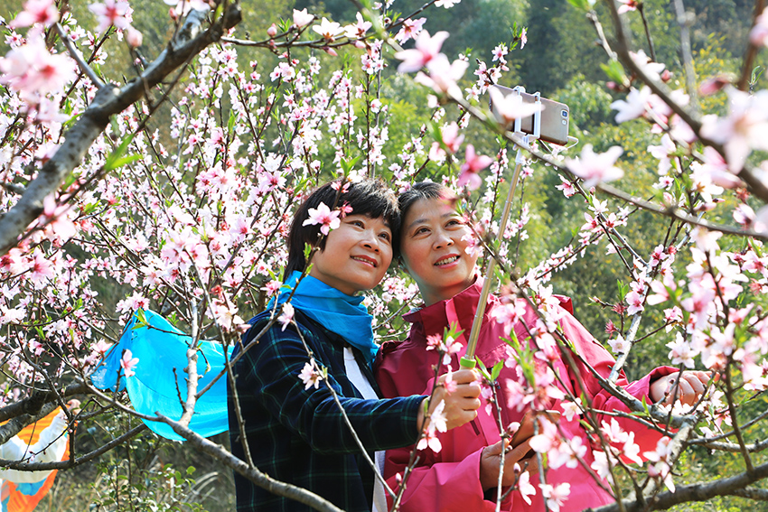 桃花领导引领变革，塑造未来新篇章