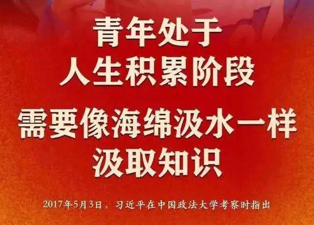 襄樊市共青团市委最新项目，引领青年力量，共筑城市未来