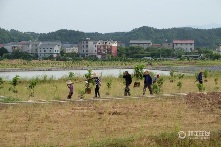 柯城区市场监督管理局最新战略规划展望