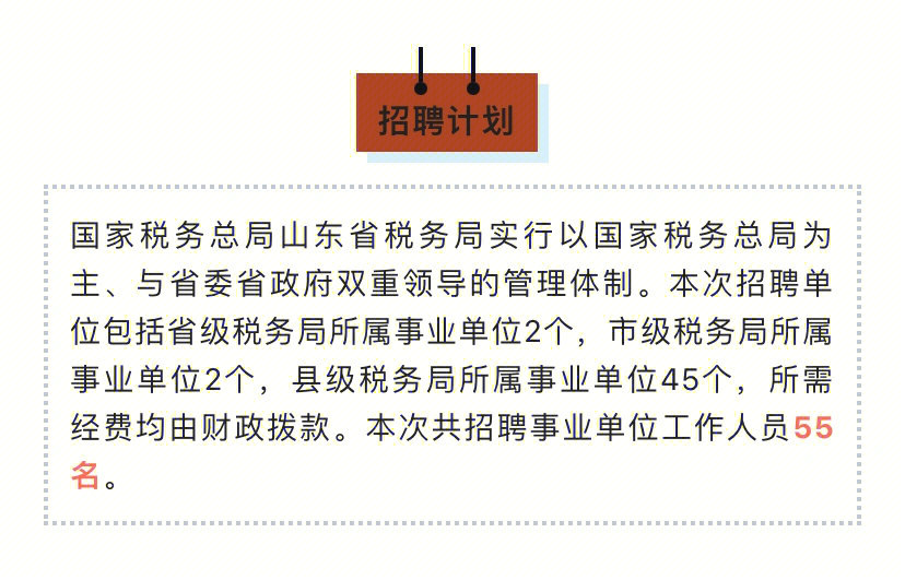 枣庄市国家税务局最新招聘公告详解