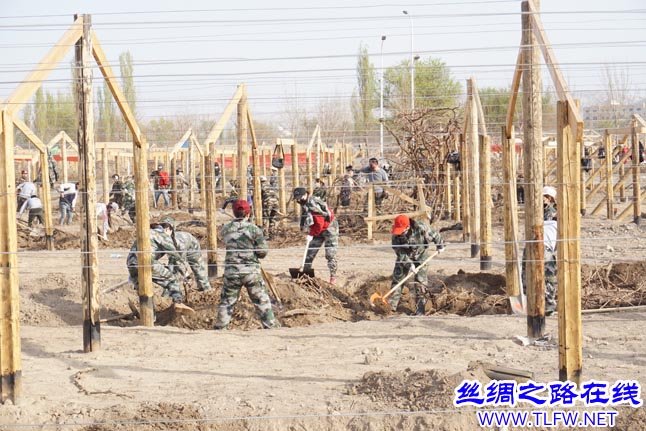 吐鲁番园林管理局重塑绿洲生态，打造宜居城市新篇章