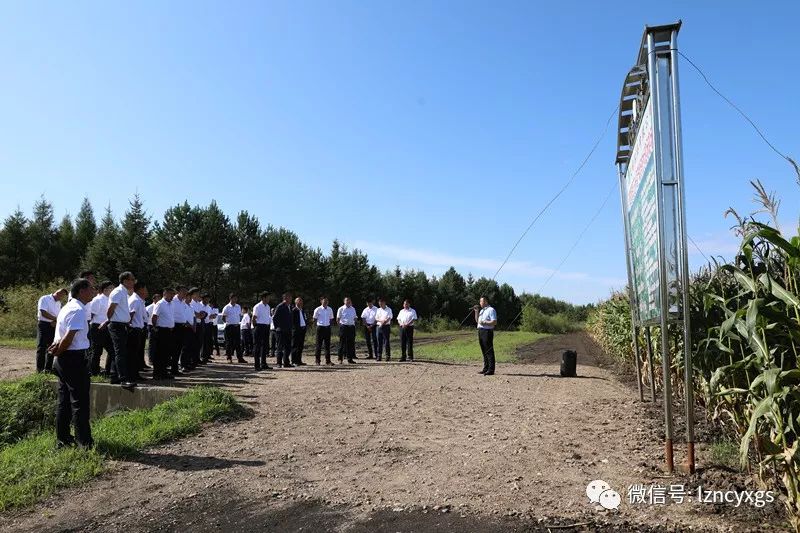 红阳农场最新项目，引领农业现代化新潮流