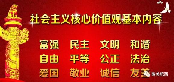 新胜村委会最新招聘信息概览