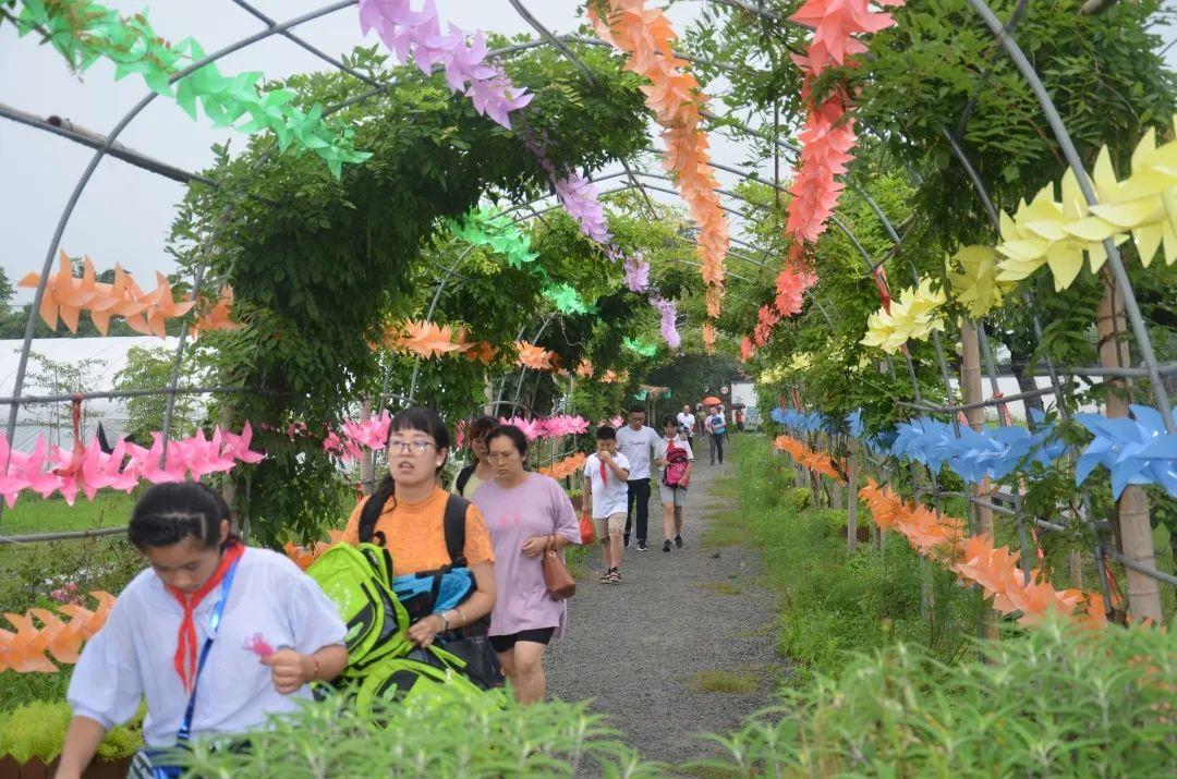 嘉兴市科学技术局最新项目进展与前瞻