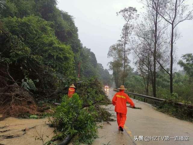 龙门县密溪林场最新天气预测报告