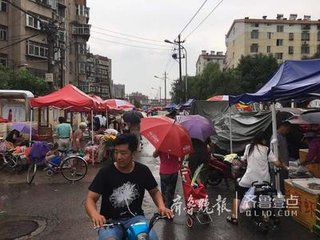 板桥社区优化交通网络，提升居民出行体验的最新报道