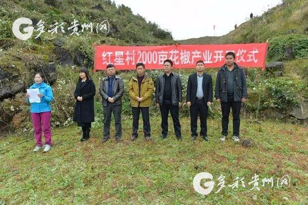 松桃苗族自治县人民政府办公室领导团队全新概述