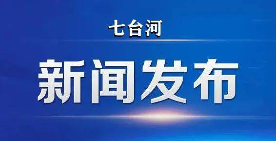 七台河市人事局新闻动态深度解析