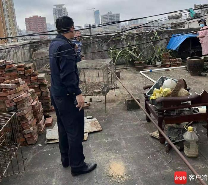 白龙社区未来城市蓝图发展规划揭秘