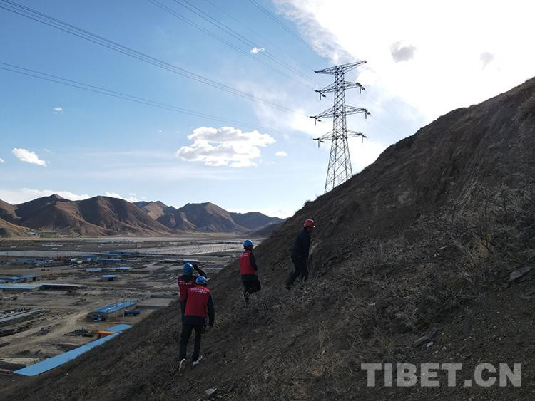 阿里地区市供电局推动能源转型项目，助力区域发展迈向新高度