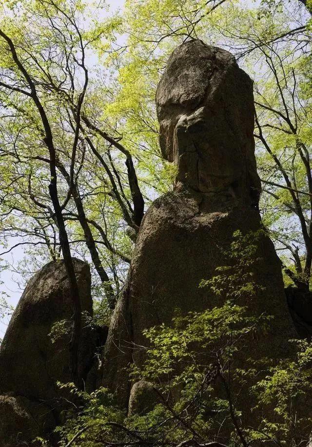 木植街乡发展动态与社会变迁最新报道