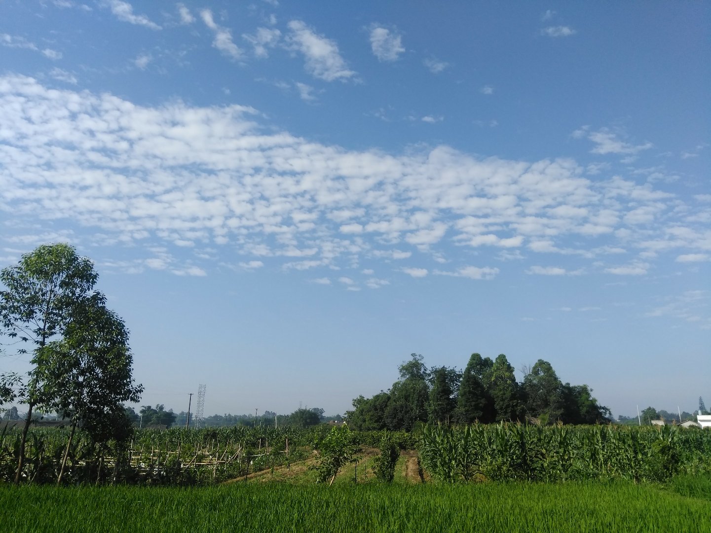 三义永乡天气预报更新通知