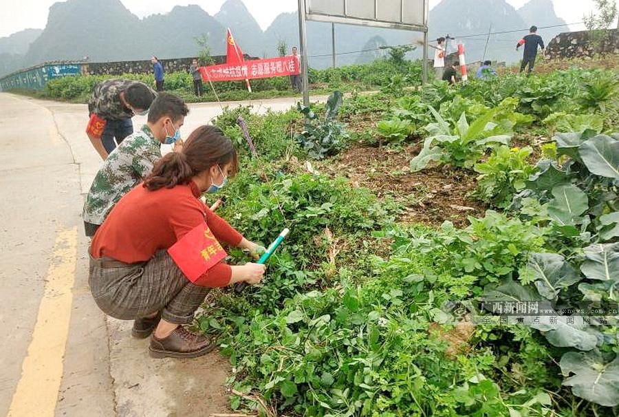 加隆村全新发展规划揭晓